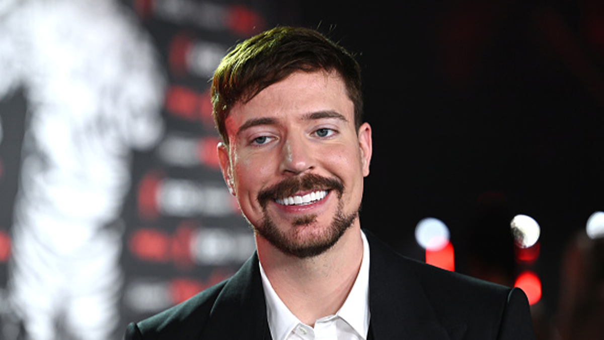 mr beast net worth